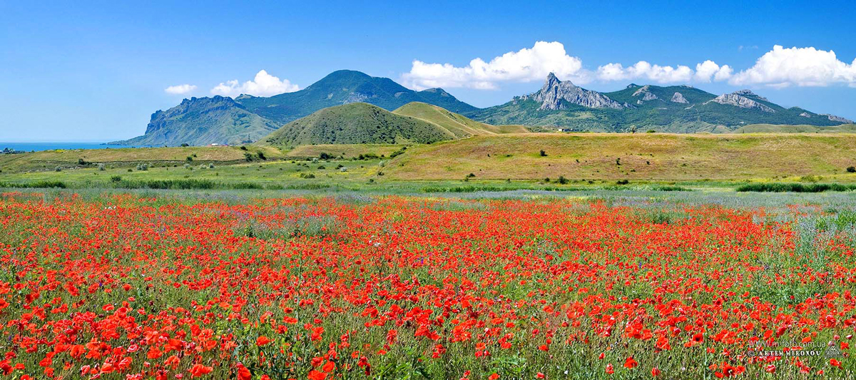 Крыма в мае